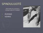 Temperatūra ir spinduliuotė kaip ekologiniai veiksniai 12 puslapis