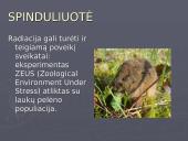 Temperatūra ir spinduliuotė kaip ekologiniai veiksniai 18 puslapis