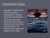 Temperatūra ir spinduliuotė kaip ekologiniai veiksniai 4 puslapis