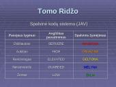 Terorizmas kaip viena iš naujų ekstremalių situacijų priežasčių 11 puslapis