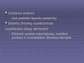 Terorizmas kaip viena iš naujų ekstremalių situacijų priežasčių 13 puslapis