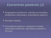 Terorizmas kaip viena iš naujų ekstremalių situacijų priežasčių 17 puslapis