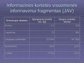 Terorizmas kaip viena iš naujų ekstremalių situacijų priežasčių 10 puslapis