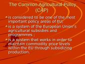 The Common Agricultural Policy (CAP)