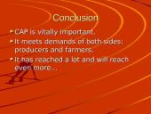 The Common Agricultural Policy (CAP) 11 puslapis