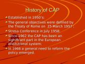 The Common Agricultural Policy (CAP) 3 puslapis