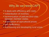 The Common Agricultural Policy (CAP) 5 puslapis