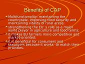 The Common Agricultural Policy (CAP) 8 puslapis