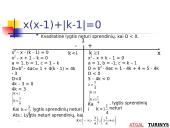 Tiesinės ir kvadratinės lygtys su parametrais 14 puslapis