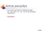 Tiesinės ir kvadratinės lygtys su parametrais 7 puslapis