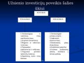 Tiesioginių užsienio investicijų poveikis šalies ūkiui. Lietuvos atvejis 5 puslapis