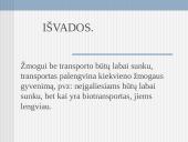 Kas yra transportas? 10 puslapis