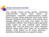 Transporto paslaugų kainodara 13 puslapis