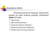 Transporto paslaugų kainodara 3 puslapis