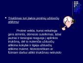 Triukšmas ir vibracijos problema 13 puslapis