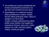 Triukšmas ir vibracijos problema 18 puslapis