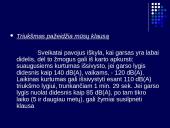 Triukšmas ir vibracijos problema 8 puslapis