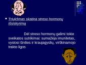 Triukšmas ir vibracijos problema 10 puslapis