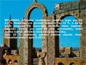 Tunisas ir viskas apie jį 12 puslapis