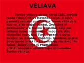 Tunisas ir viskas apie jį 15 puslapis