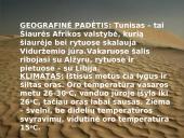 Tunisas ir viskas apie jį 3 puslapis