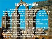 Tunisas ir viskas apie jį 10 puslapis