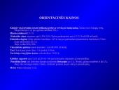 Turistinės kelionės į Kiniją pristatymas 10 puslapis