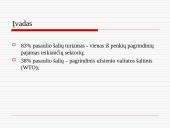 Turizmo nauda Lietuvos ekonomikai 2 puslapis