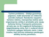 Turizmo transporto priemonių analizė su pasiūlymu 3 puslapis