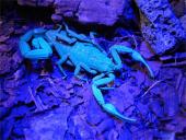 Ultravioletiniai spinduliai (UV) 16 puslapis