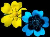 Ultravioletiniai spinduliai (UV) 18 puslapis