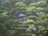 Useness of Rainforests