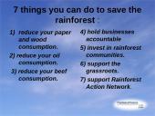 Useness of Rainforests 15 puslapis