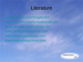 Useness of Rainforests 16 puslapis