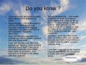 Useness of Rainforests 3 puslapis