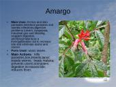 Useness of Rainforests 5 puslapis