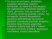 Vadybos mokslas Lietuvoje 11 puslapis