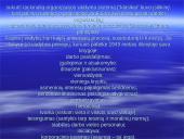 Vadybos mokslo raida 18 puslapis