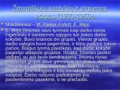 Vadybos mokslo raida 19 puslapis