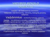 Vadybos mokslo raida 3 puslapis