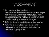 Vadovavimas ir vadovų tipai 2 puslapis