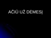 Vadovavimas ir vadovų tipai 10 puslapis