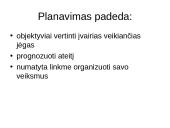 Valdymo procesas ir valdymo funkcijos 6 puslapis