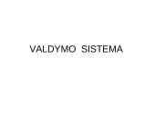 Valdymo sistema