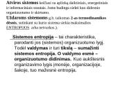 Valdymo sistema 2 puslapis