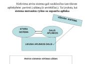 Valdymo sistema 3 puslapis