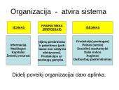 Valdymo sistema 4 puslapis