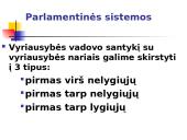 Valdymo sistemos. Institucinių modelių įtaka demokratijos stabilumui 3 puslapis