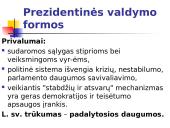 Valdymo sistemos. Institucinių modelių įtaka demokratijos stabilumui 8 puslapis
