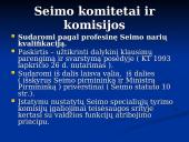 Valdžių padalijimo principo įgyvendinimas Lietuvos Respublikoje 17 puslapis